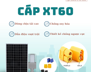 s40-cap-300x240